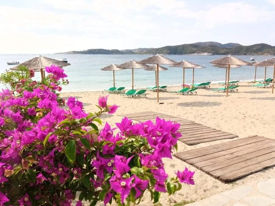 Vilas In The Garden By The Sea Sykia Chalkidikis Exterior foto